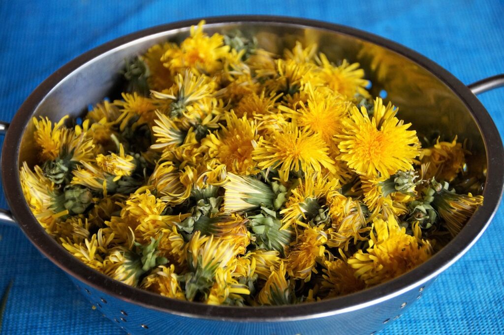 dandelions, flowers, flower background-5122258.jpg